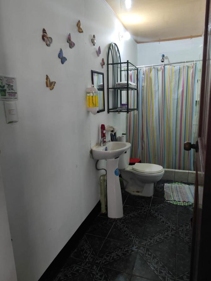 Appartement Tortuguero Casa De Playa Green House Extérieur photo