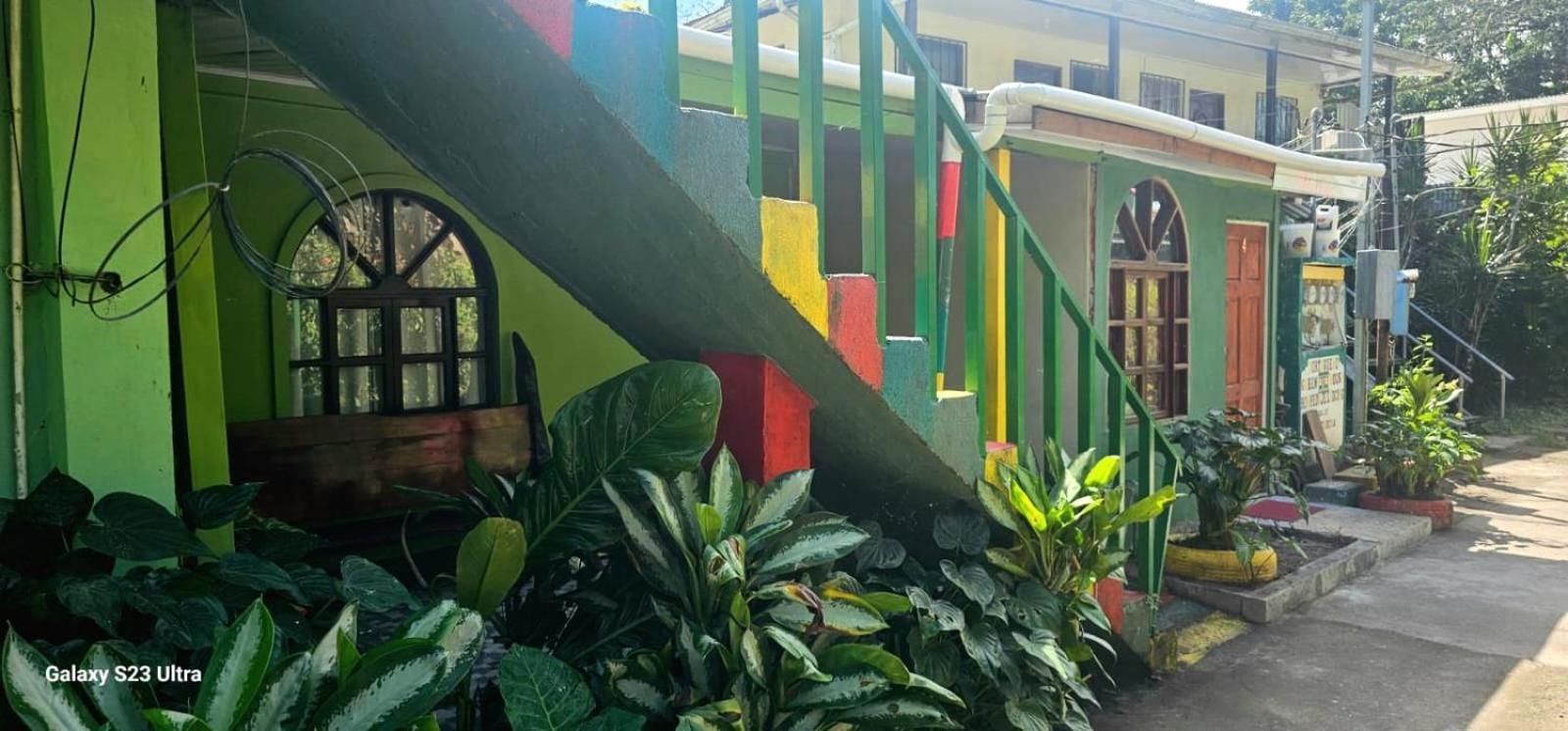 Appartement Tortuguero Casa De Playa Green House Extérieur photo